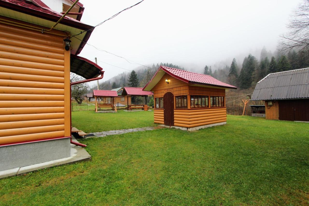 Карпатська Полонина Daire Yaremche Dış mekan fotoğraf